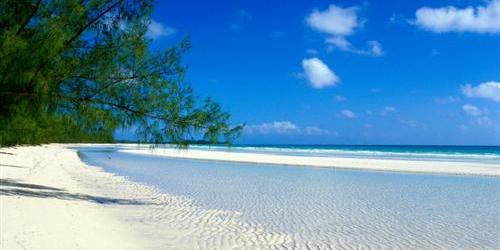 Bahama's